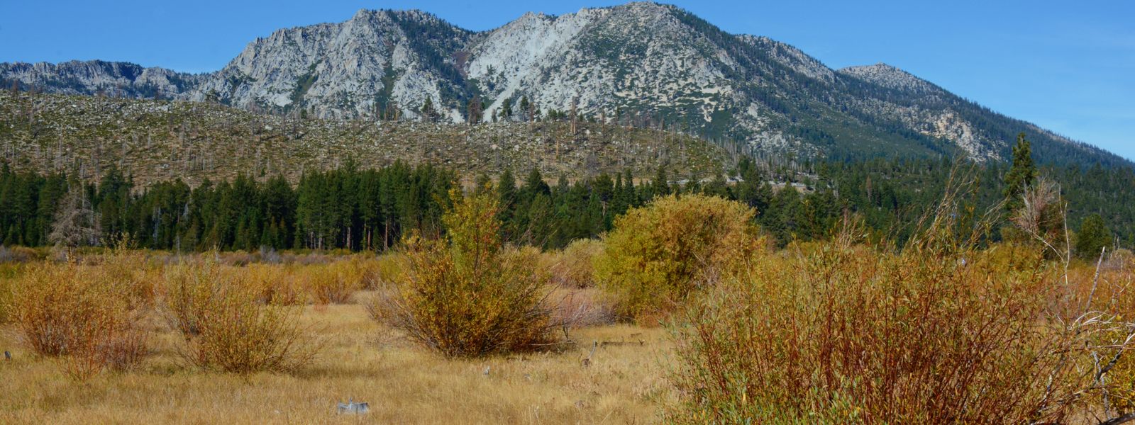 The Sierra Nevada mountains above Carson City, Nevada